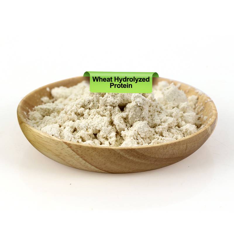 小麦水解蛋白