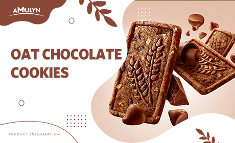 发现完美的减肥零食——燕麦巧克力饼干！