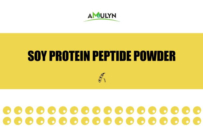 Soybean peptide